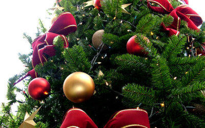 Pratique o consumo consciente nas festas de Natal