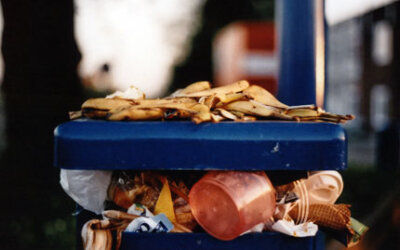 Cidade dos EUA vai multar quem desperdiçar comida em casa