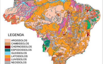 Embrapa lança mapa digital dos solos brasileiros