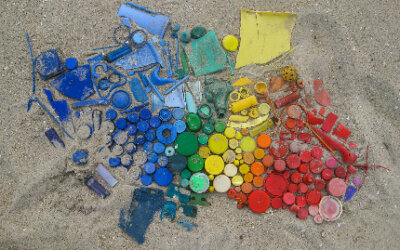 Desperdício e destruição na era dos plásticos