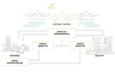 Projeto colaborativo desenvolve protocolo para aperfeiçoar gestão do Capital Natural
