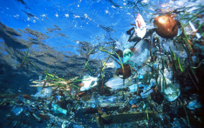 Em apenas um ano, mundo despejou 8 milhões de toneladas de plástico nos oceanos