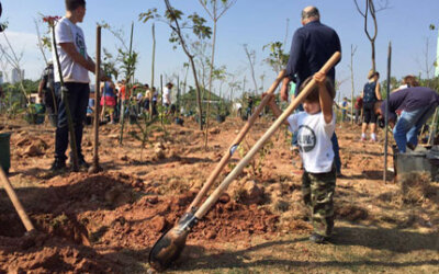 Com mutirão de 500 voluntários, São Paulo ganha mais uma mini-floresta