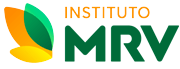 Instituto MRV