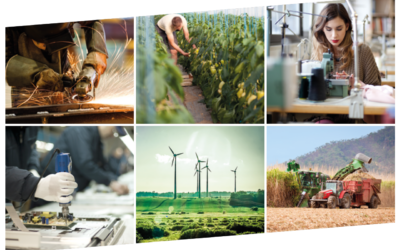 FIESP lança Guia de Produção e Consumo Sustentáveis